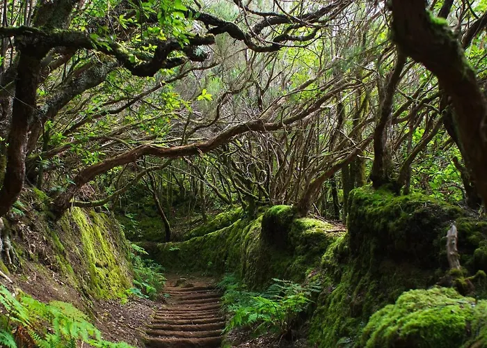 Cristianos Center Hotel Los Cristianos (Tenerife)